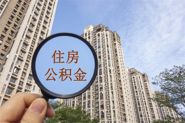 中卫公积金代办（中卫公积金代办费用是什么意思）